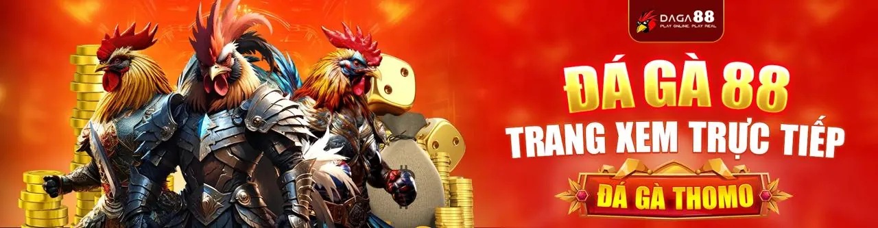 Sân vận động đá gà với không khí sôi động tại 98win đá gà