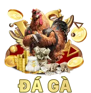 Cá cược đá gà trên di động